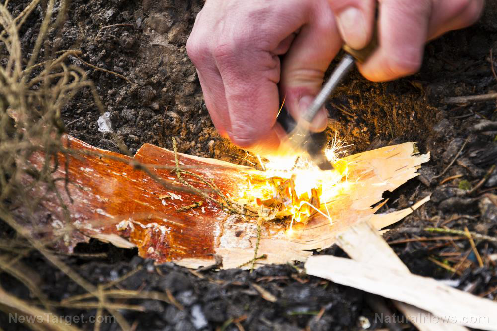 Image: 20 Wilderness survival tips that might save your life after SHTF