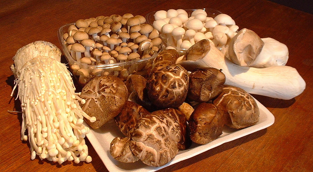 Image: Eating 2 servings of mushrooms can protect cognitive function and keep your brain healthy