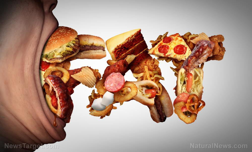 Image: Deadly diet: Study finds high-fat, high-sugar Western diet increases risk of sepsis, death