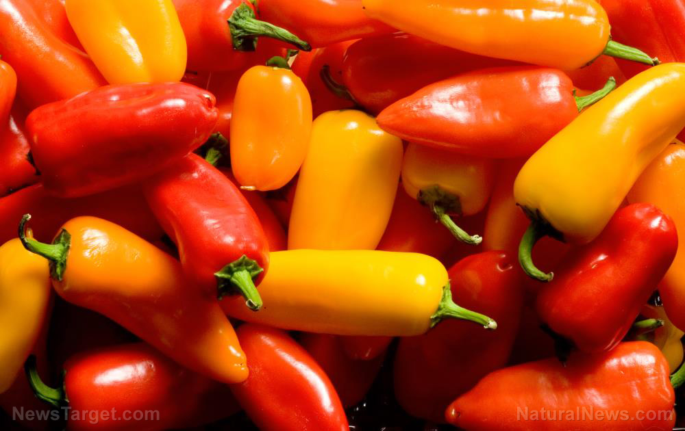 Image: Compound in non-pungent peppers found to protect the liver, improve blood sugar, and reduce weight gain