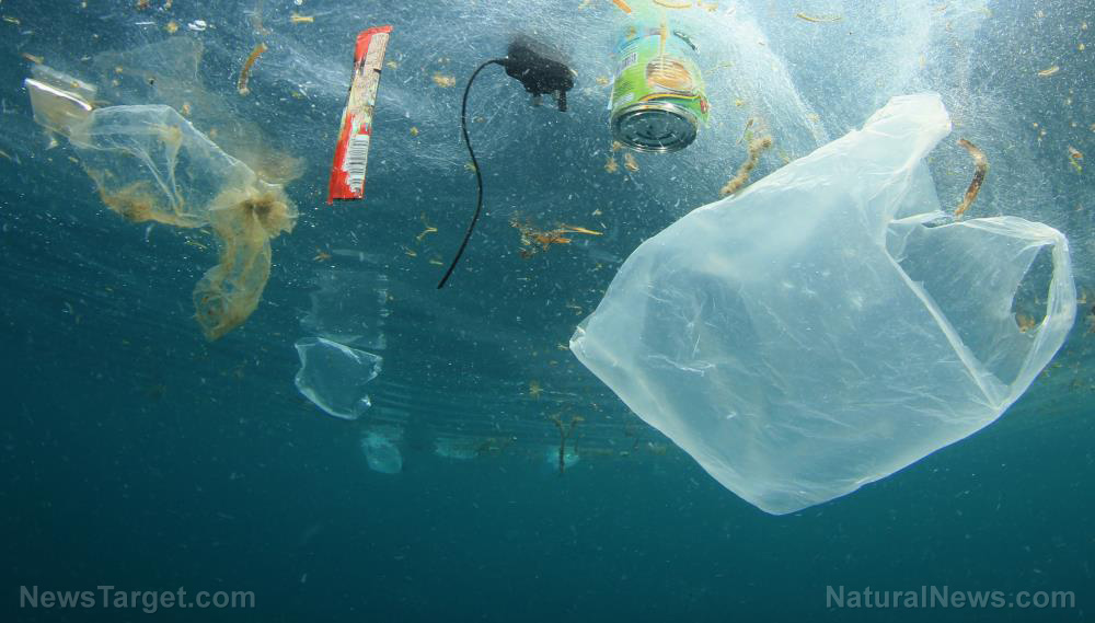 Image: Fast food packaging responsible for nearly half of all ocean plastics, study finds