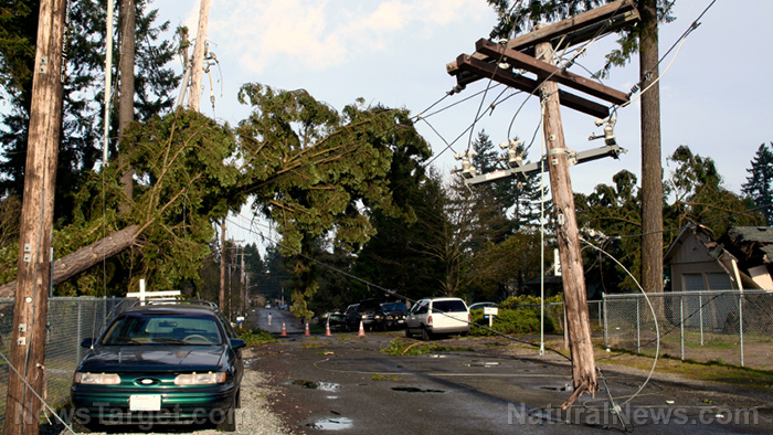 Image: Hurricane Ida ravages New Orleans, exposing power grid weakness