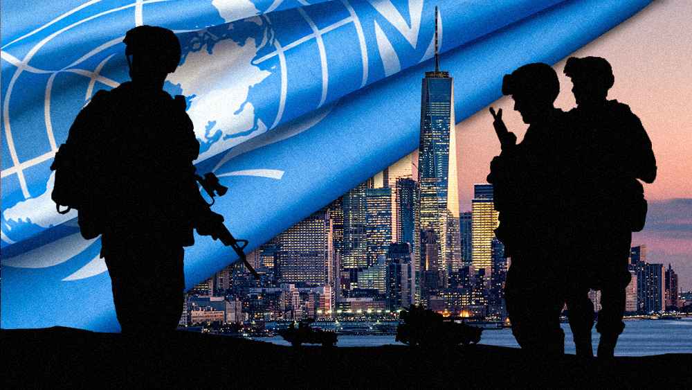 Image: UN hiring “disarmament officers” to conduct “field missions” in New York as UN occupation plan for America goes LIVE