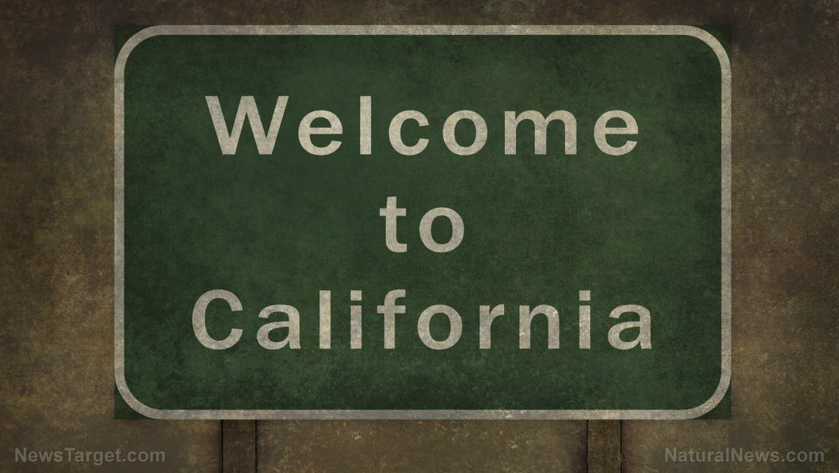 Image: California to become the first “abortion tourism” state, luring pregnant women to the state with funds for airfare, lodging, meals