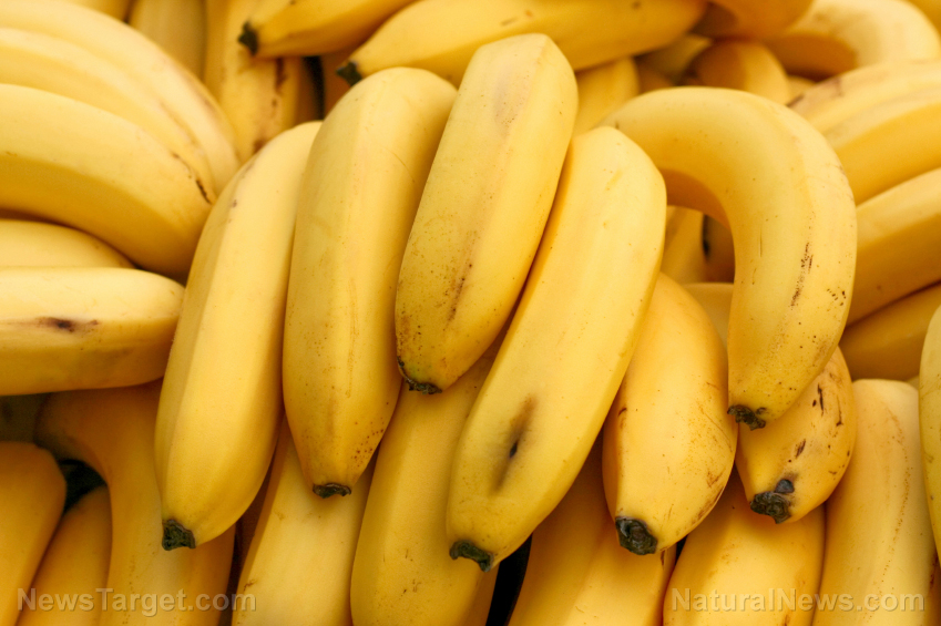 Image: Wild banana demonstrates significant potential as natural diabetes cure