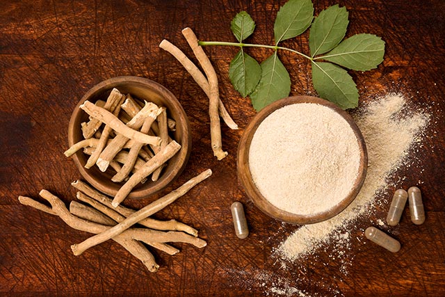 Image: Ashwagandha: Discover the health benefits of this popular ancient adaptogen