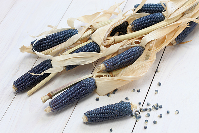 Image: Nutritionists recommend blue maize extract as a safe natural alternative to prevent metabolic syndrome