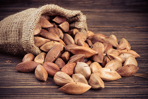 Image: Pili nuts, grown as food in the Philippines, may be the next keto-friendly superfood
