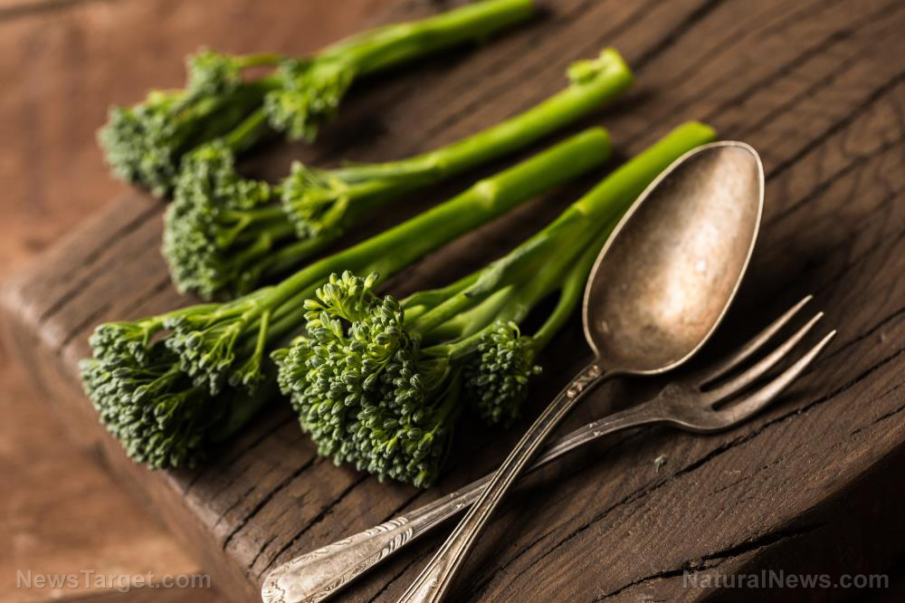 Image: Eating broccoli found to help with brain and nerve repair