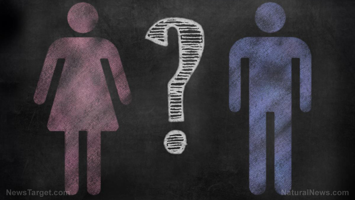 Image: “What Is A Woman?” film tackles easy question that transgender cult refuses to answer