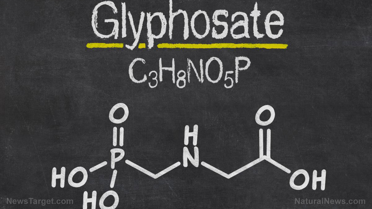 Image: Court orders EPA to reassess glyphosate’s impact on human health and the environment