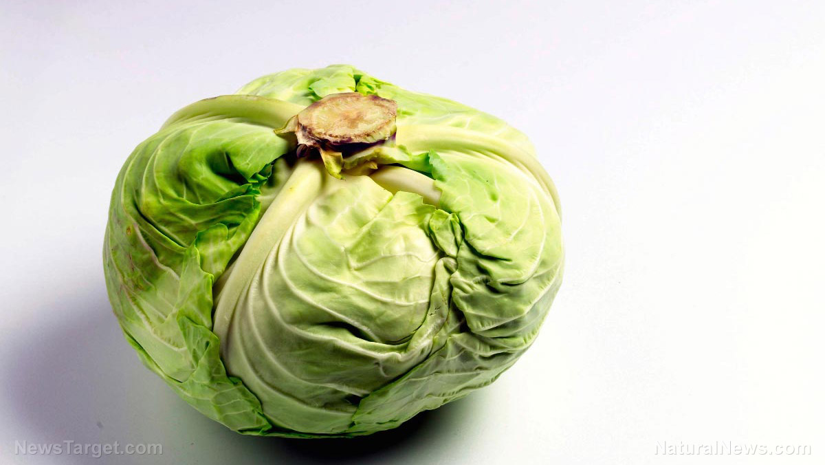 Image: Shortage Down Under: Aussie KFC fast food chains now substituting CABBAGE for lettuce