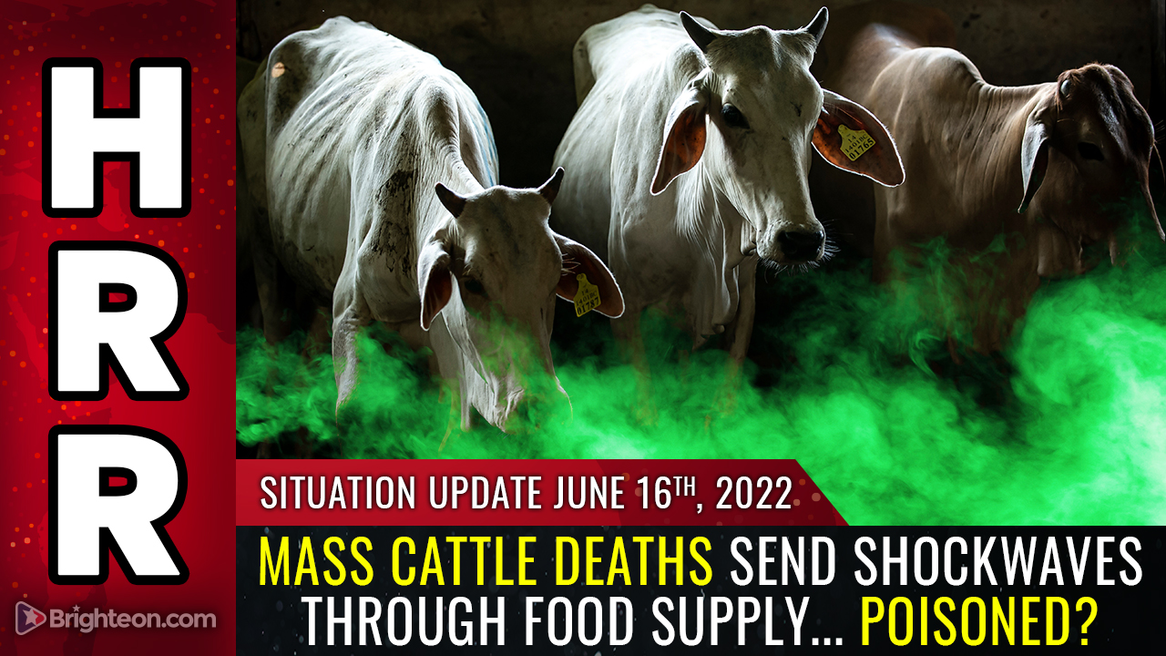 HRR-2022-06-16-Situation-Update Mike Adams: Mass CATTLE deaths send shockwaves through food supply as speculation rises: Are they being poisoned on purpose? Featured Opinion [your]NEWS