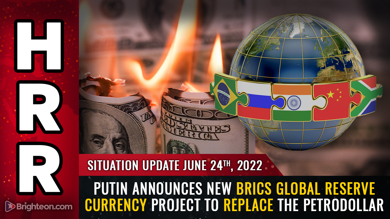 Εικόνα: ΠΩΣ ΤΕΛΕΙΩΝΕΙ Η ΑΜΕΡΙΚΗ: Ο Πούτιν ανακοινώνει το νέο σχέδιο παγκόσμιου αποθεματικού νομίσματος BRICS για να ΑΝΤΙΚΑΤΑΣΤΗΣΕΙ το πετροδολάριο