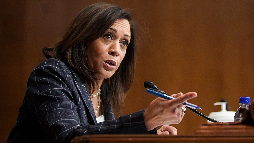 Image: Never forget: If Kamala Harris takes over as president, she WILL come after guns with a vengeance and may send law enforcement to take them