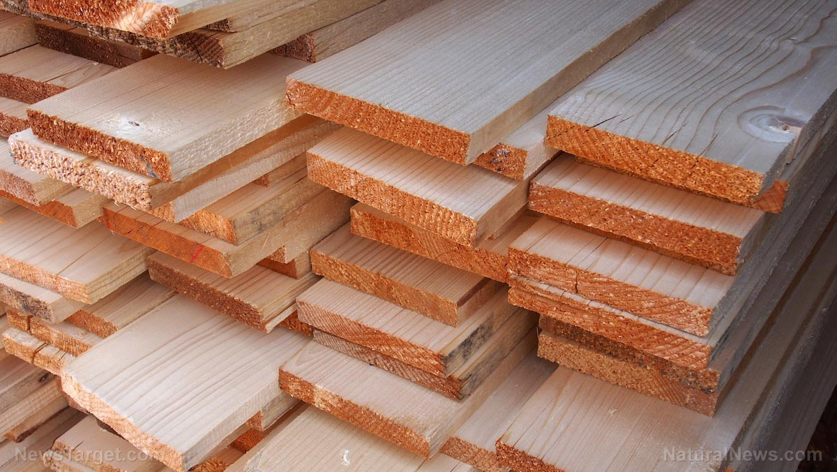 Image: Lumber prices fall as rising interest rates affect housing industry