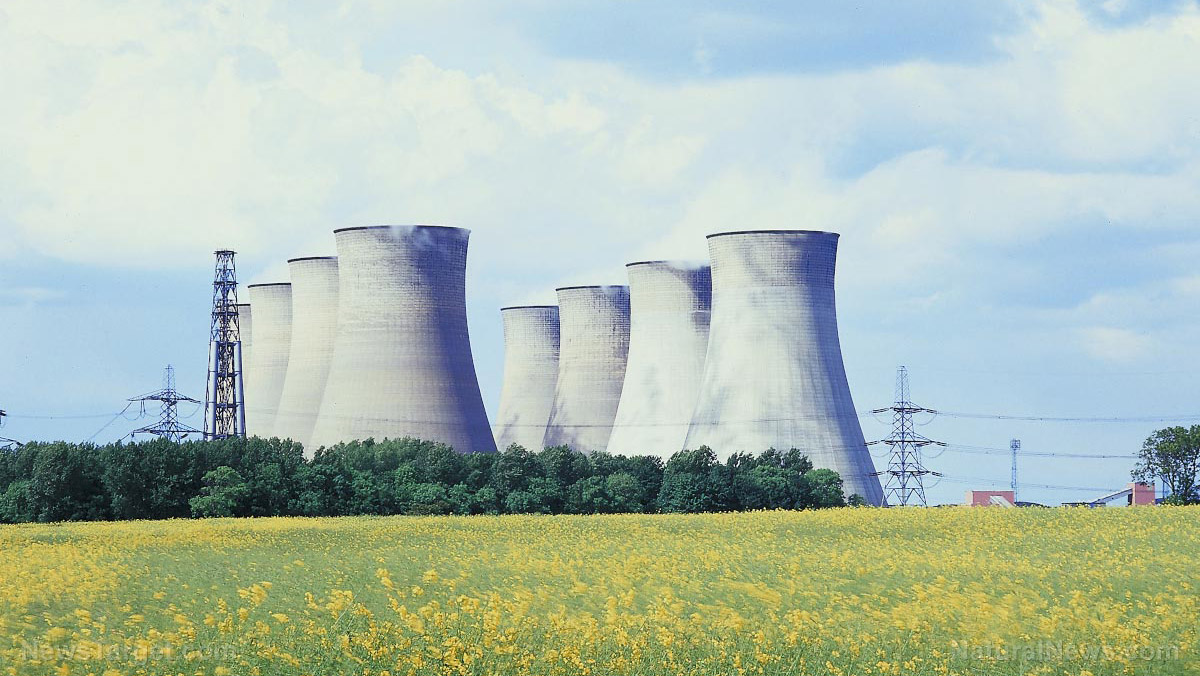 <div>INSANELY VULNERABLE: If Russia cuts off supply of enriched uranium to US power companies, America's nuclear energy reactors will close within a year</div>