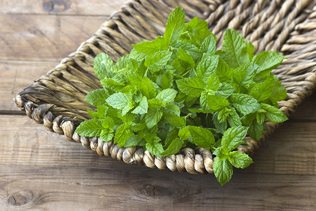 Image: Spearmint confirmed to improve cognitive health: Study