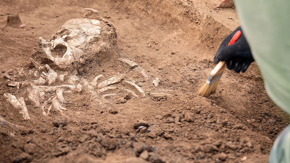 Image: Ancient human remains unearthed in Ethiopia older than previously thought, reveals study