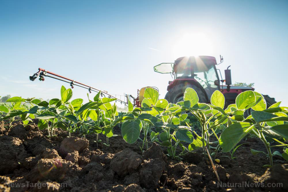 Image: Globalists in the Netherlands are targeting farms to deliberately achieve GLOBAL FAMINE