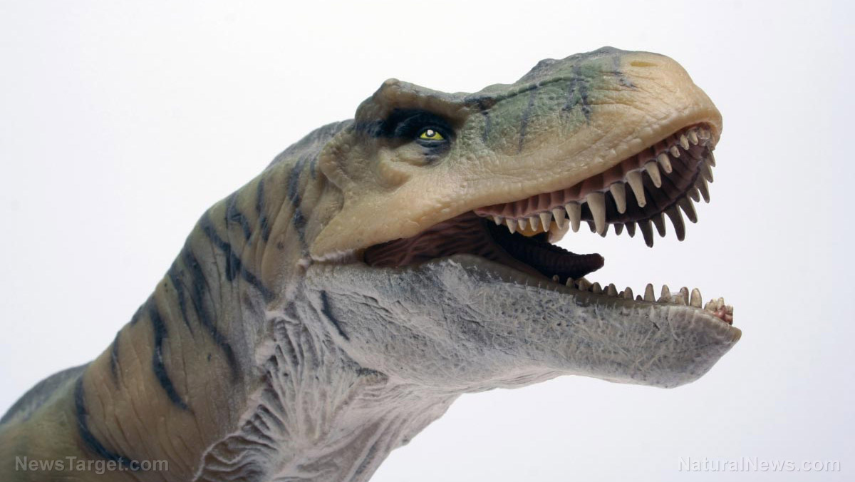 Image: NPR does report on “genderqueer dinosaur enthusiasts” – paid for with your tax dollars