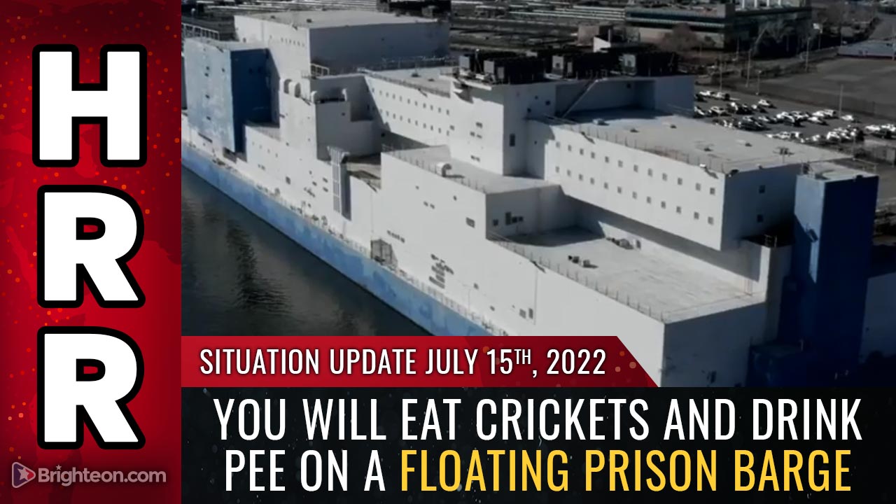 Image: Welcome to your police state future: You will EAT CRICKETS and DRINK PEE on a floating prison barge