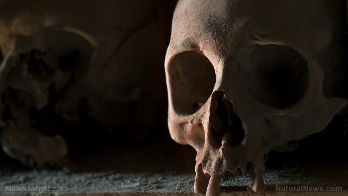 Zdjęcie: Obudzone libtardy atakują antropologię, twierdząc, że starożytne szkielety nie mogą być oznaczone jako "mężczyźni" lub "kobiety", ponieważ mogły identyfikować się jako transpłciowe