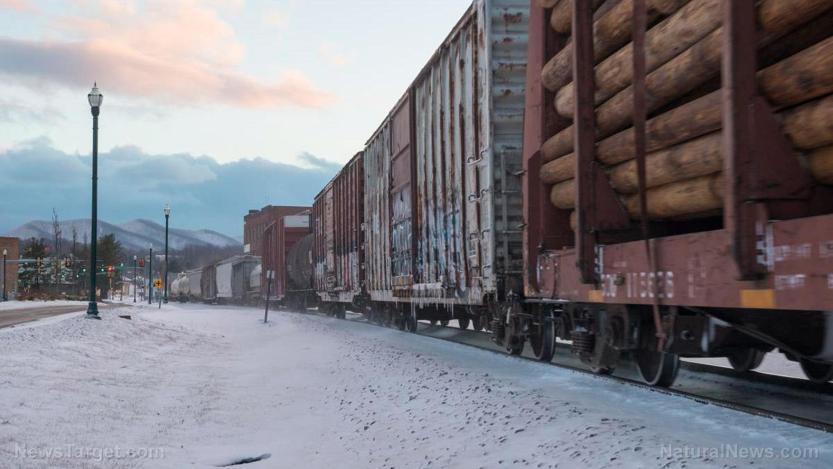 Image: Chaos in U.S. rail infrastructure causing emergency FEED SHORTAGES for ranchers in California and other southwest states