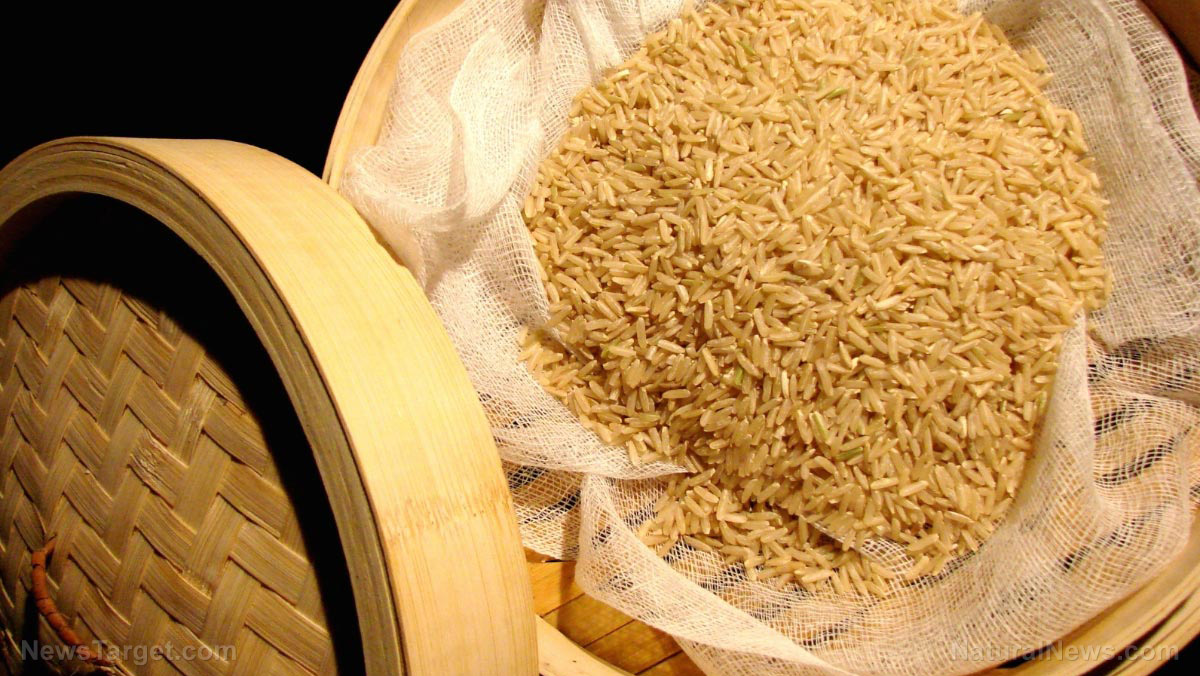 Image: Organic brown rice: One of the healthiest and most nutritious rice varieties
