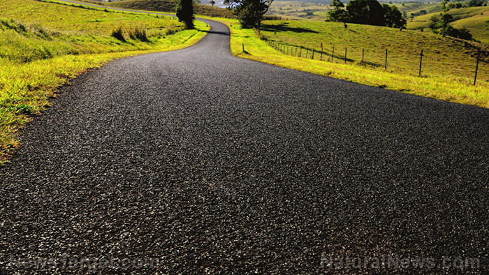Immagine: STRADE a base vegetale?  I ricercatori dell'Iowa pavimentano strade usando semi di soia e asfalto riciclato