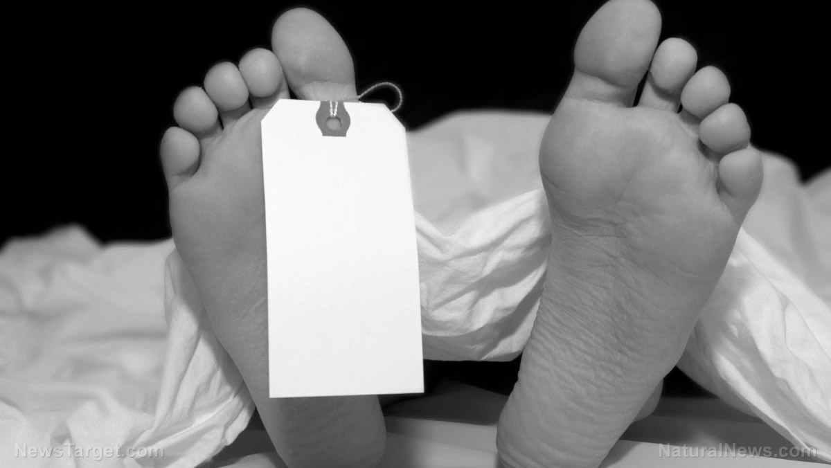 Immagine: UN ALTRO medico canadese, 26 anni, muore per iniezioni covid – che fanno SETTE in sole due settimane