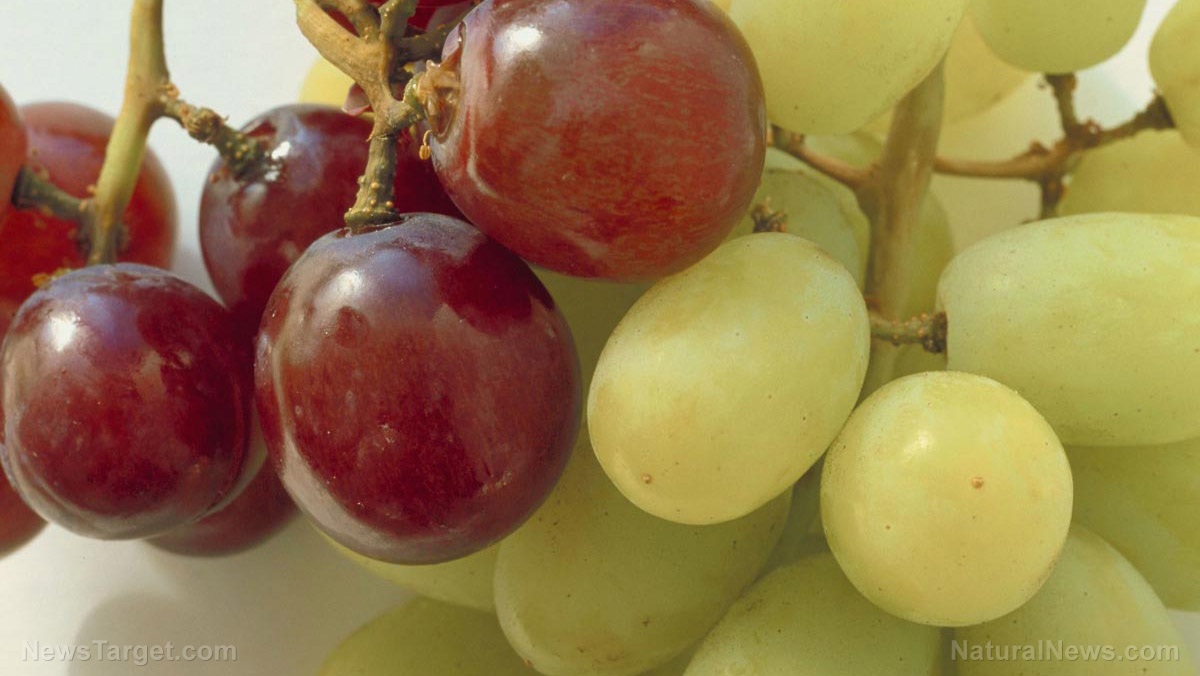 Image: Study: Resveratrol, a compound found in grapes, can protect against cognitive decline