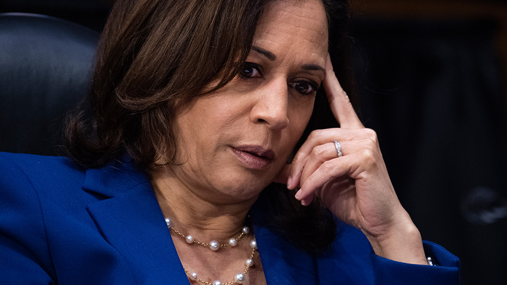 Image: I’m Fired Up with Chad Caton: Kamala Harris spells trouble for America – Brighteon.TV