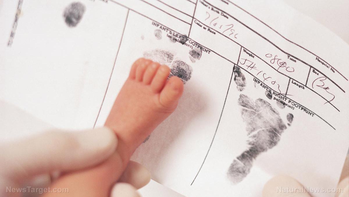 Immagine: Sorveglianza genetica di massa: la polizia ora cerca l'accesso ai campioni di sangue dei neonati per costruire un database del DNA per future indagini penali