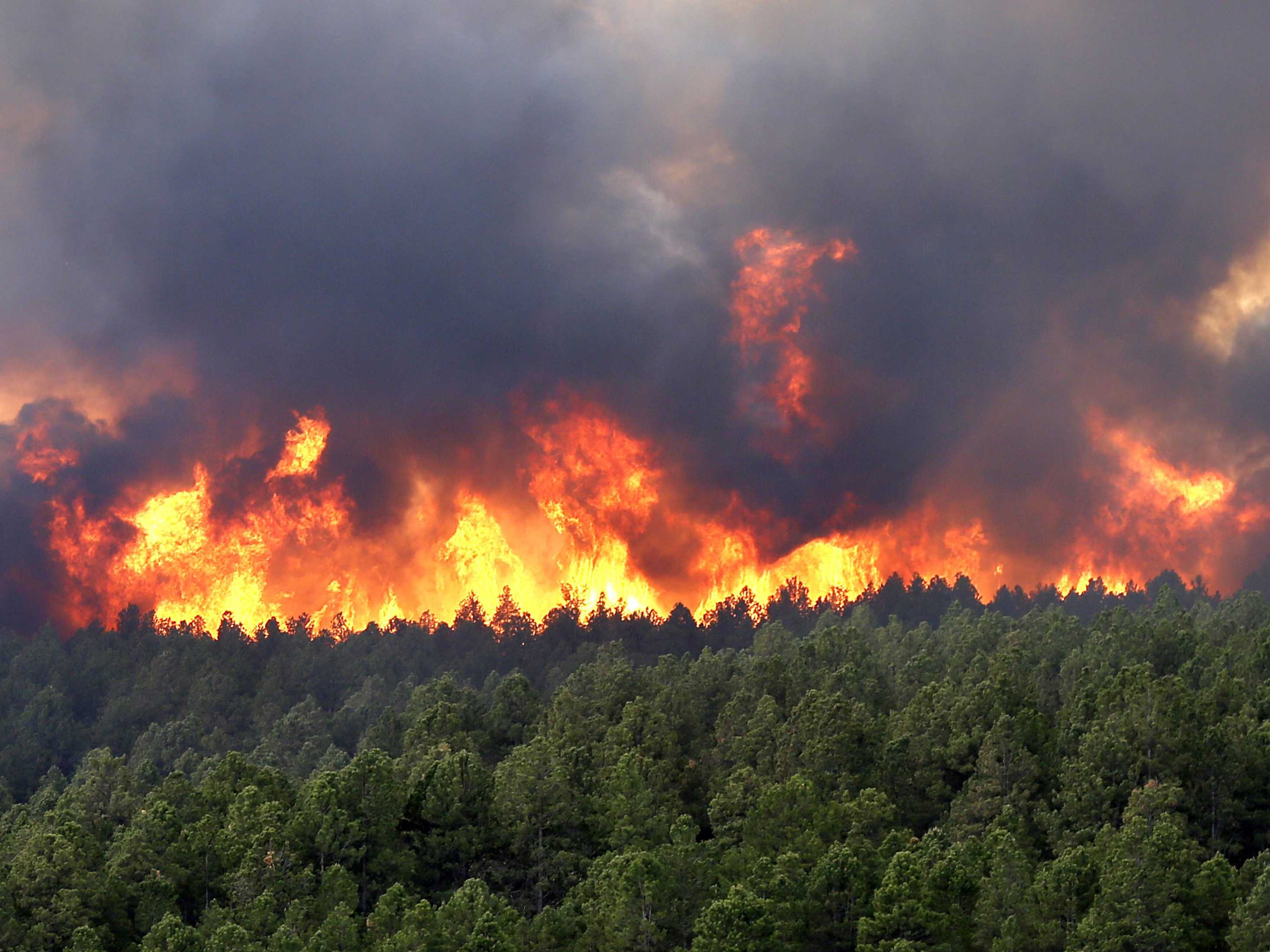 Immagine: il governo federale ha appiccato un massiccio incendio nel New Mexico, quindi ha chiesto alle vittime di coprire parte dei danni