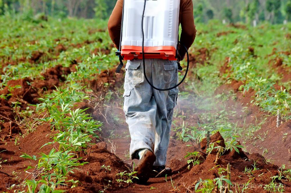Image: First FOOD goes, then the ECONOMY: Radical changes in the agriculture sector compounded by pandemic tyranny responsible for Sri Lanka’s demise