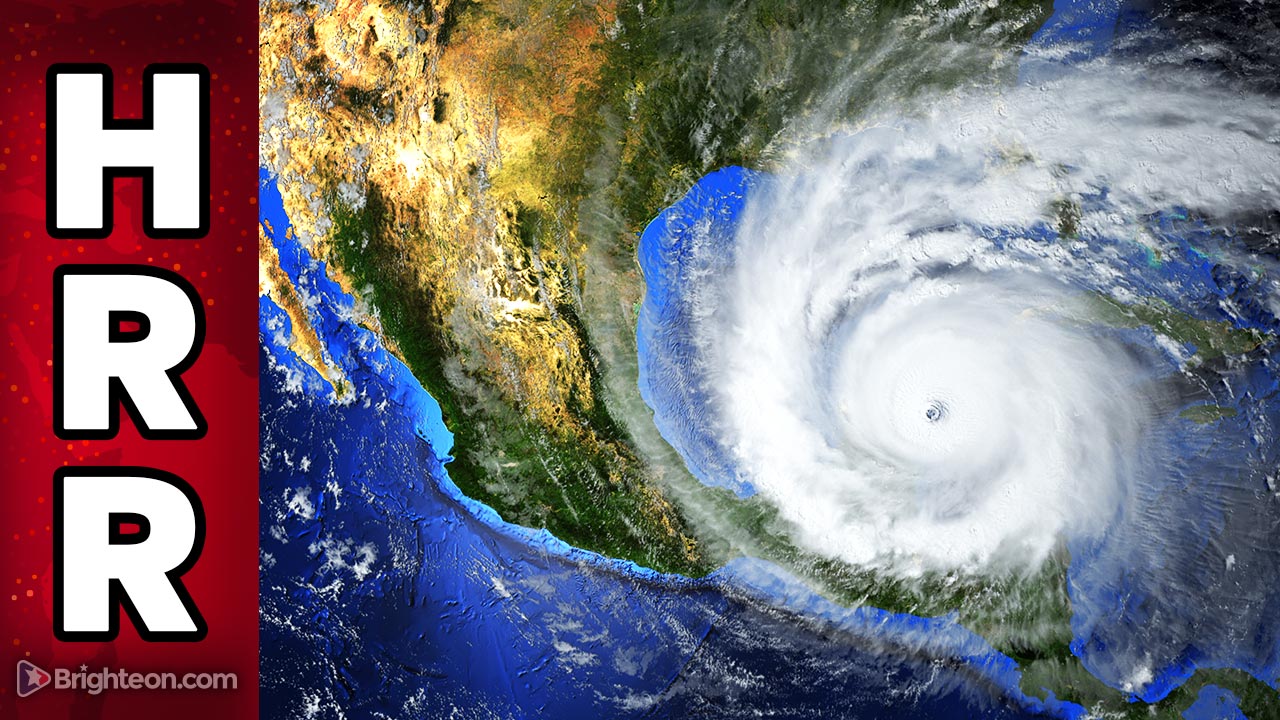 Immagine: l'uragano Ian elimina la produzione di FERTILIZZANTE per il Nord America, rete elettrica IN BASSA, danni diffusi alla catena di approvvigionamento