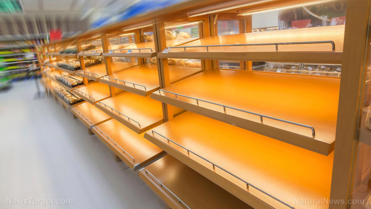 Image: Panic buyers stripped supermarket shelves bare before Hurricane Ian made landfall in Florida