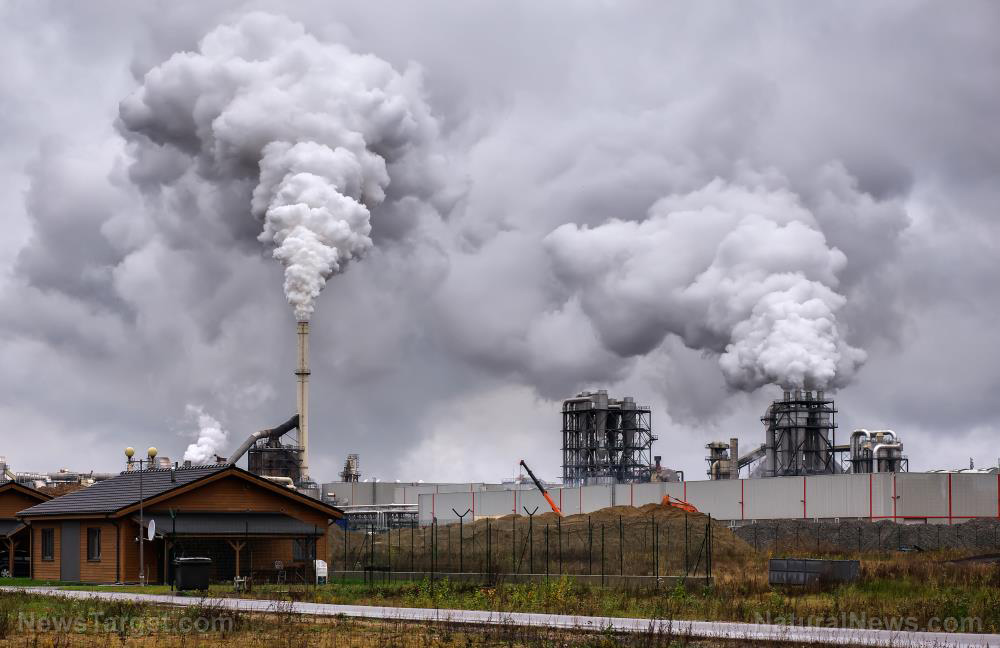 Zdjęcie: Największy na świecie producent stali zamyka fabryki w Niemczech w związku z katastrofalnym kryzysem energetycznym