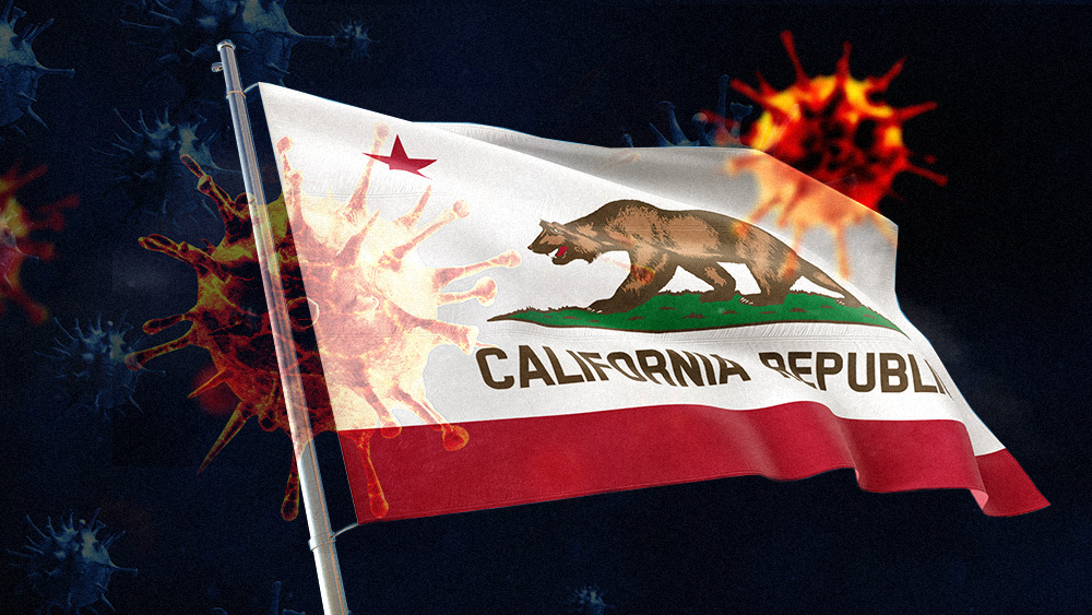 Image: Critical Disclosure with Jim White: Paul Preston explains the need for a new government in California – Brighteon.TV