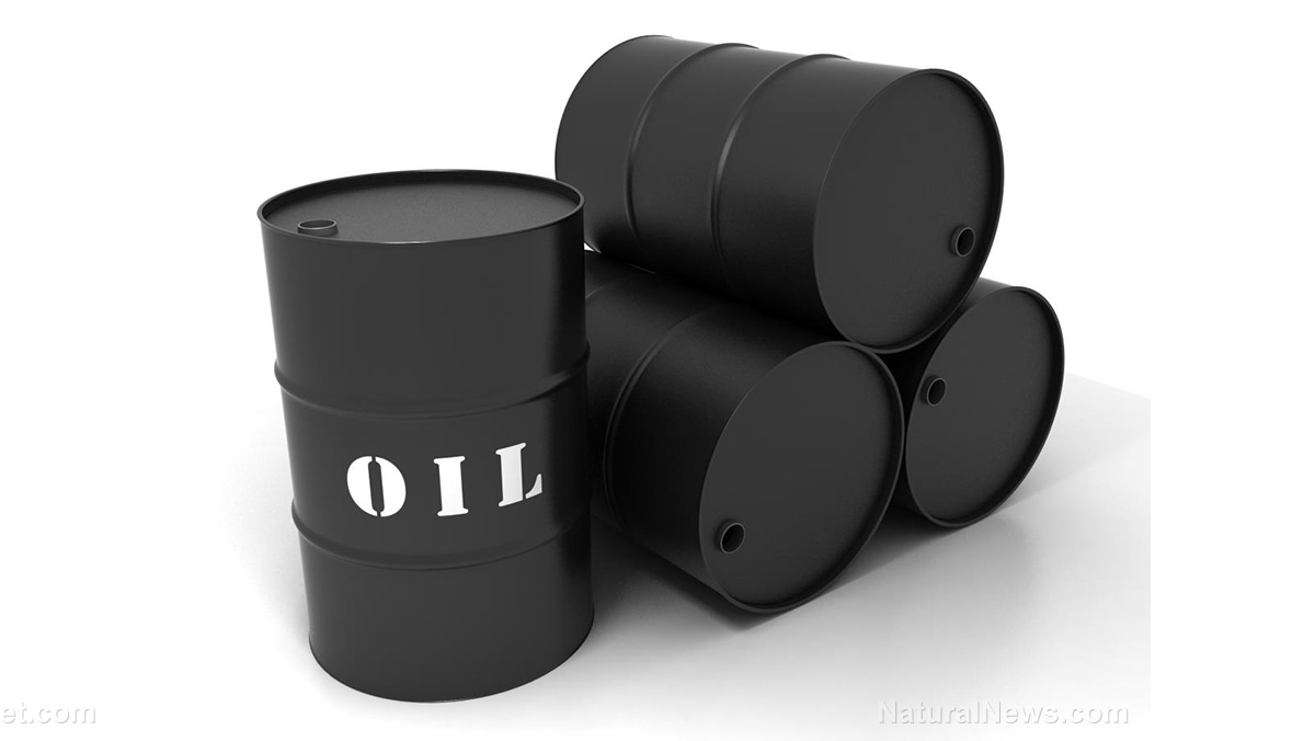 Image: The Zelenko Report: OPEC’s 2M-barrel supply cut a political statement, says Ann Vandersteel – Brighteon.TV