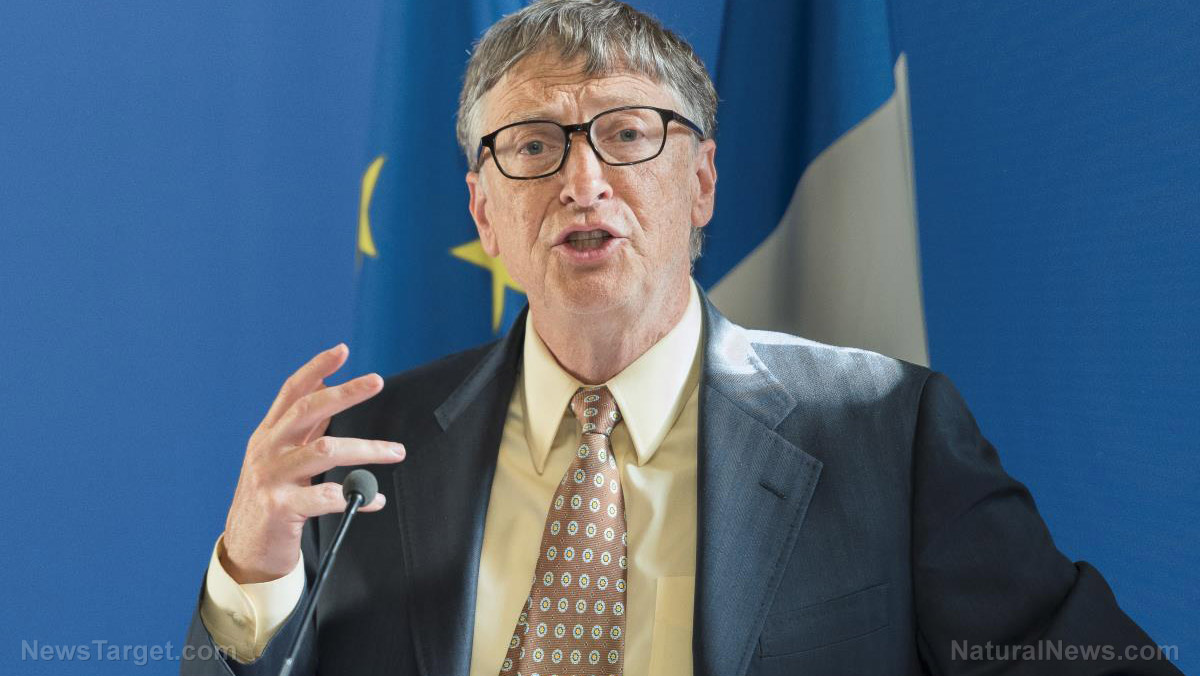 Image: 50 groups target Bill Gates on farming and technology: ‘You are part of creating the very problem you name’