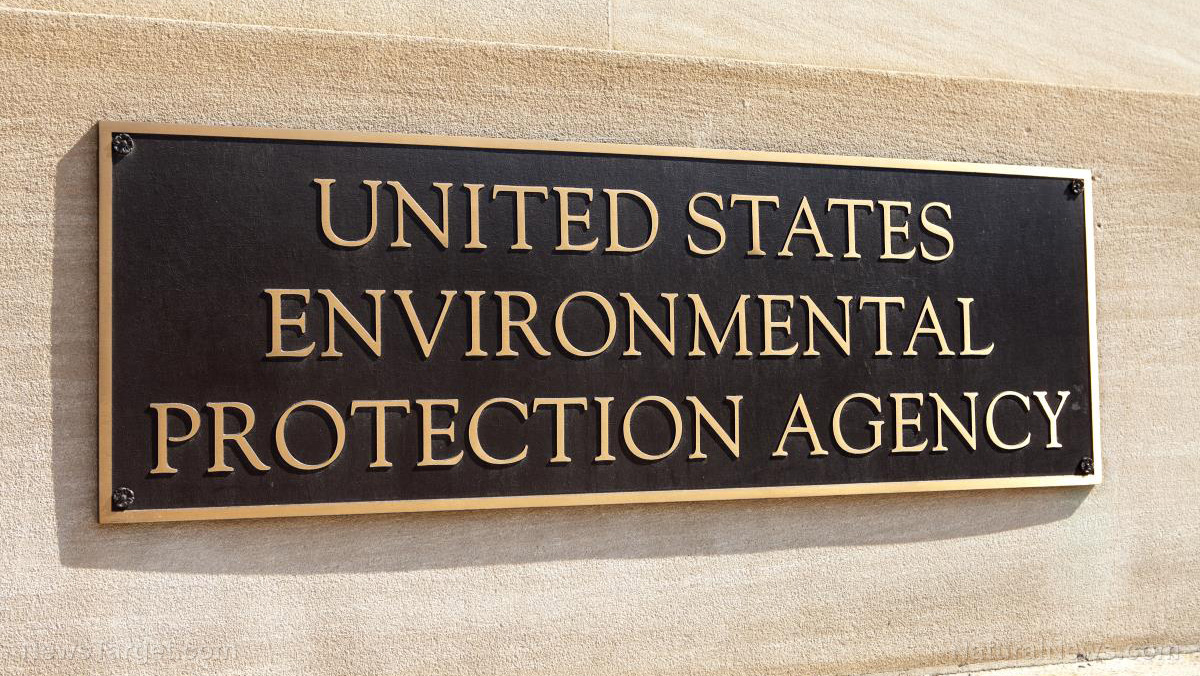 Immagine: l'EPA continua a ignorare il collegamento tra pesticidi e cancro al seno