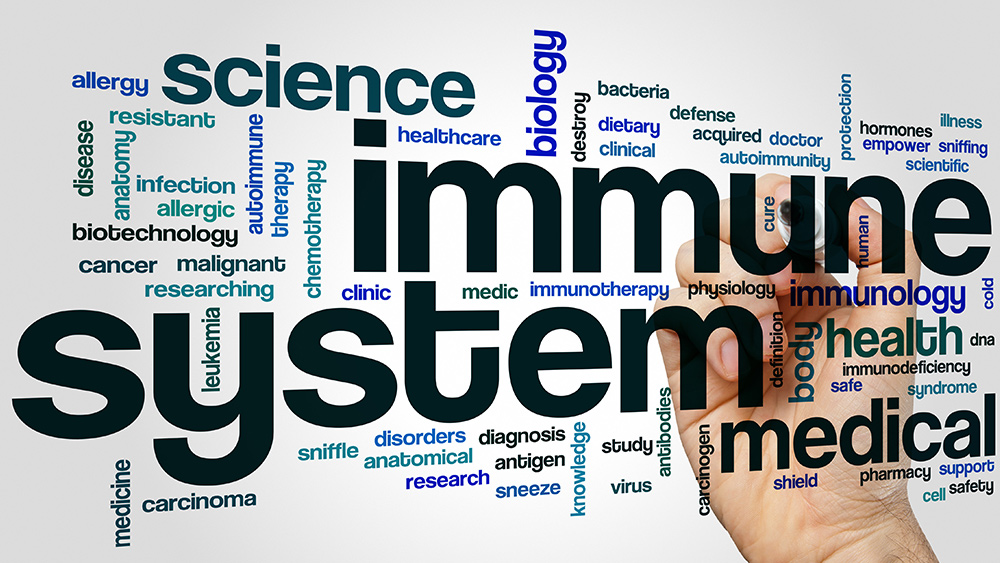 Macciochi, immunologiste : le système immunitaire est