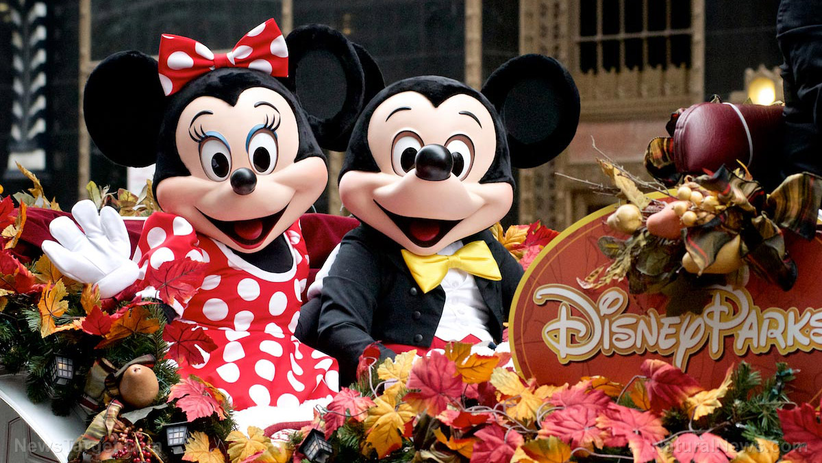 Immagine: la Disney è sull'orlo del collasso finanziario, rivela un promemoria trapelato