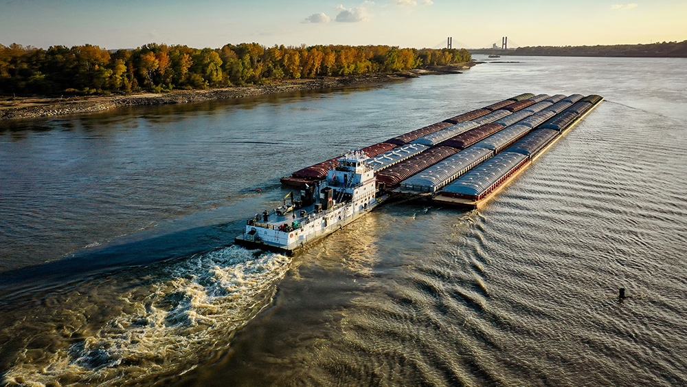 Image: Food supply woes persist: Grain shippers delay deliveries amid barge quagmire