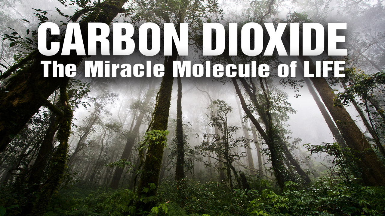 Image: Carbon dioxide isn’t a “pollutant” causing global warming, it’s the elixir of life itself