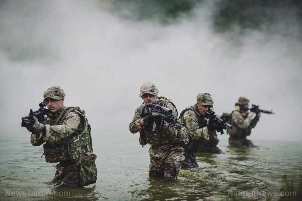 Zdjęcie: Brytyjski generał: Royal Marines brali udział w misjach "wysokiego ryzyka" na Ukrainie