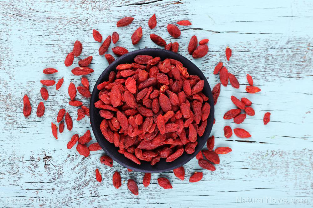 Image: Study: Goji berries boost eye health, help prevent vision problems, study concludes