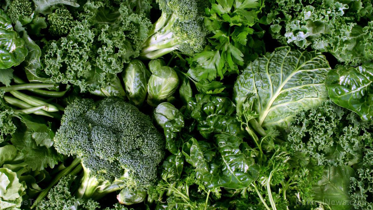 Immagine: Studio: Mangiare verdure a foglia verde riduce il rischio di fratture ossee tra gli anziani